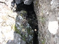 otta Acqua Vitale-20100905 056
